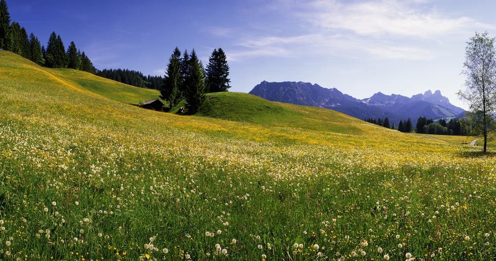 Garni Hotel Wildanger Цёблен Экстерьер фото